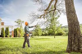 How Our Tree Care Process Works  in Westworth Village, TX